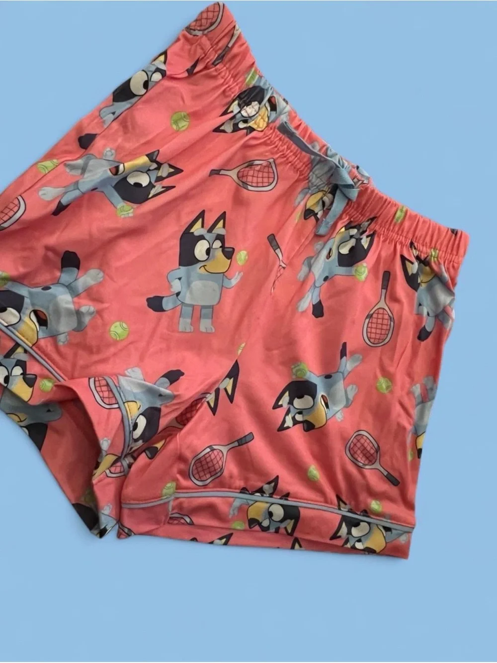 Bluey pajama 2 piece set shorts and shirt girls small 6